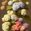 Hydrangea Tower
