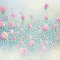 My Roses