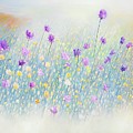Wildflowers